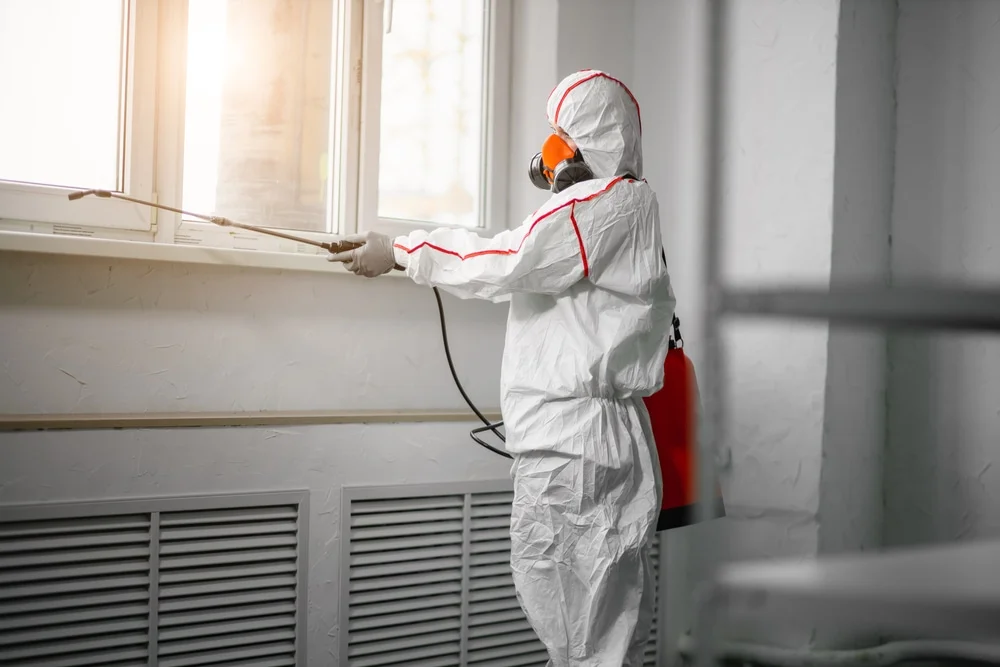 Professional mold remediation services in Georgetown, CO